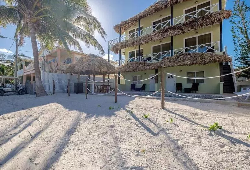Hotelli The Palapa House