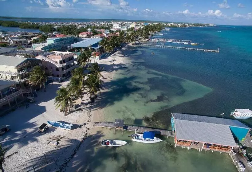 Hotelli The Palapa House
