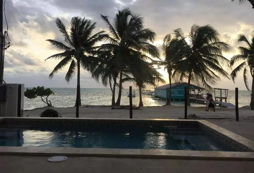 Hotelli The Palapa House
