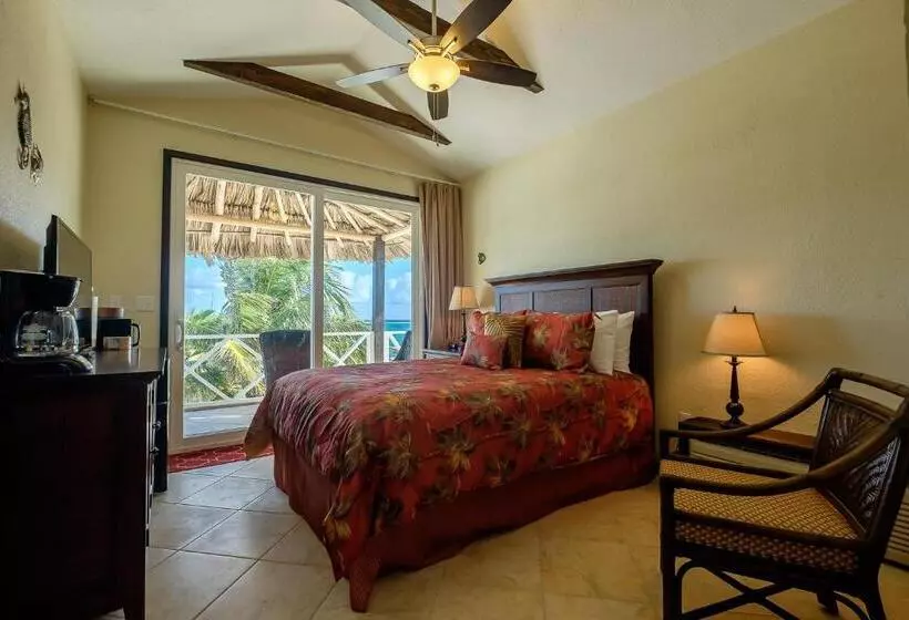 Hotelli The Palapa House