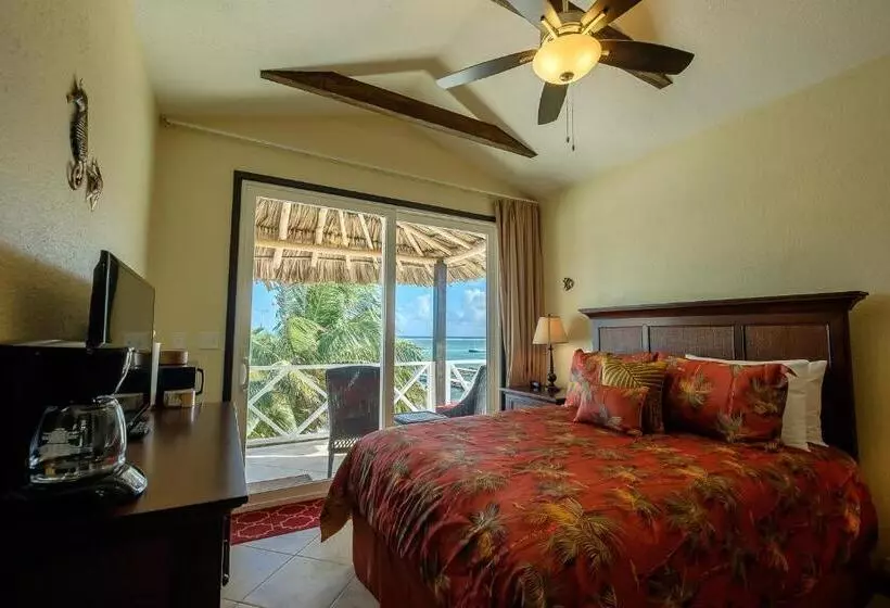 Hotelli The Palapa House
