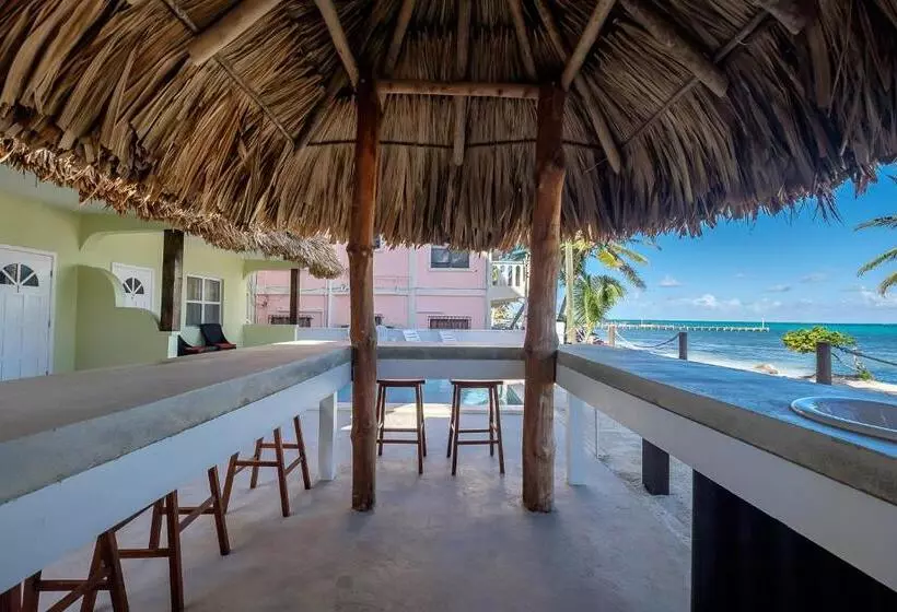 Hotelli The Palapa House