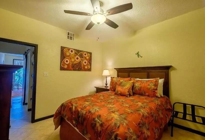 Hotelli The Palapa House