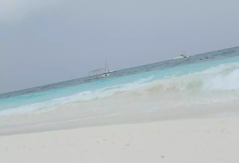 تختخواب و صبحانه Faridu Beach Bungalows