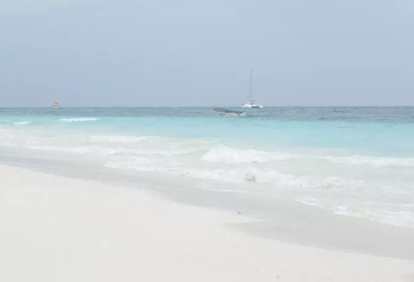 تختخواب و صبحانه Faridu Beach Bungalows