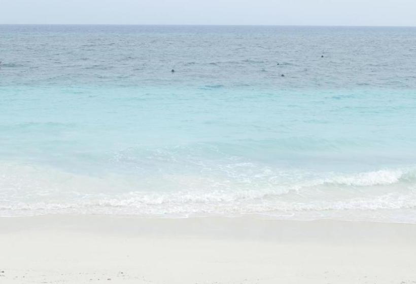 Bed and Breakfast Faridu Beach Bungalows