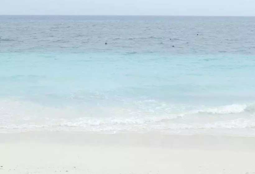 تختخواب و صبحانه Faridu Beach Bungalows