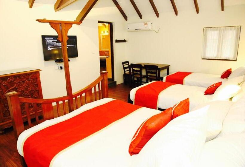 Bed and Breakfast Lar Amorosa   Portuguese Stay In Goa