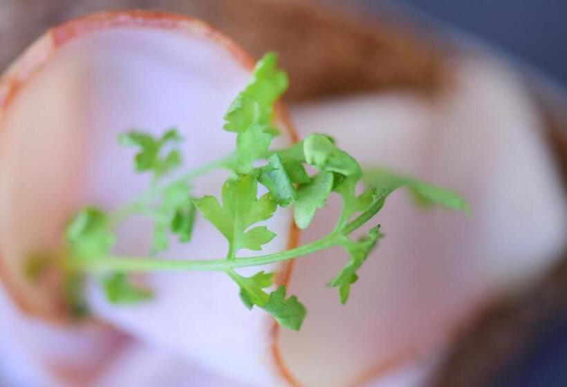 酒店 Das Alte Rathaus