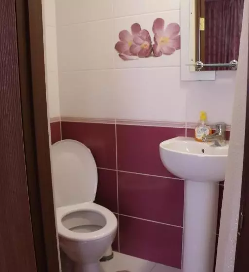 Hotelli Karpatskyi Maetok