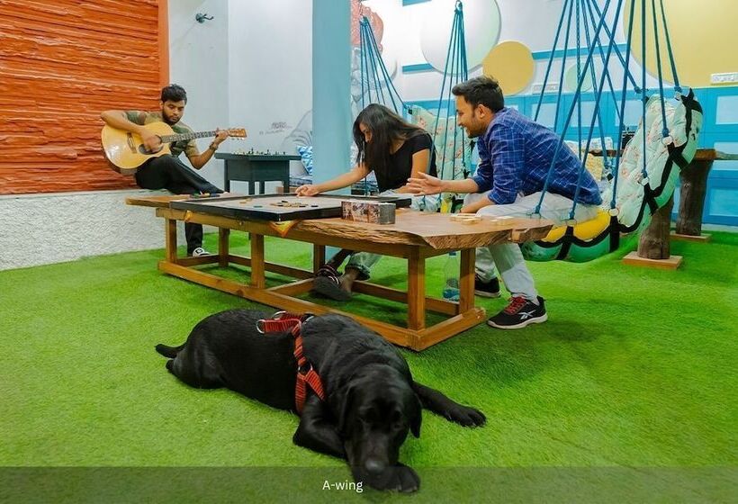 Hostel Moustache Udaipur