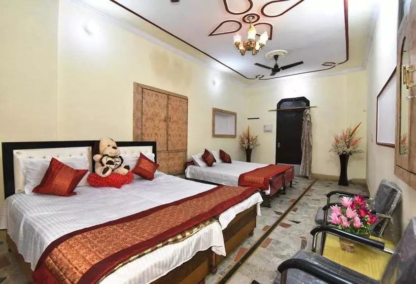 Wow Backpackers Hostels