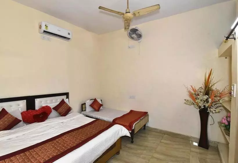 Wow Backpackers Hostels