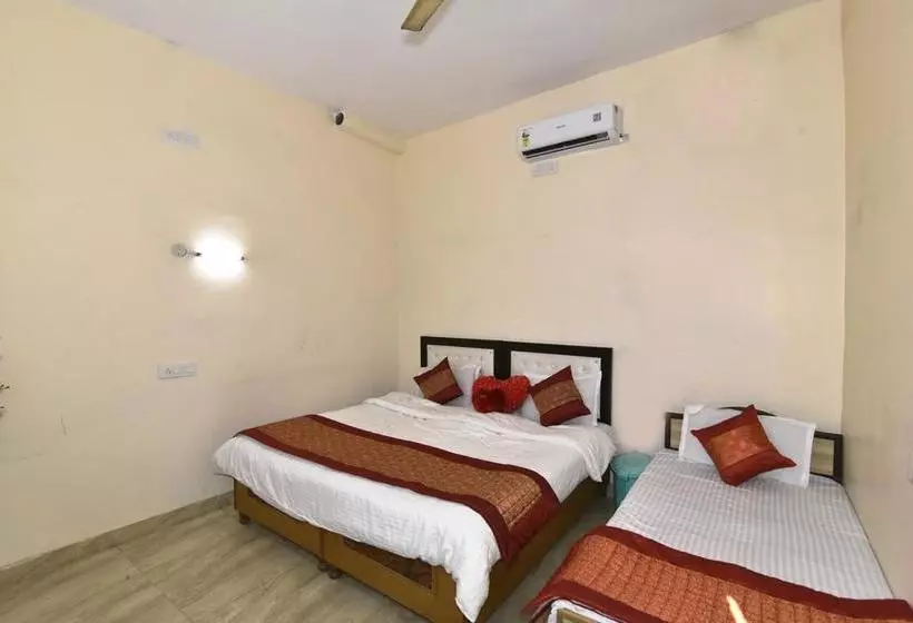 Wow Backpackers Hostels