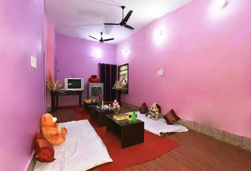Wow Backpackers Hostels