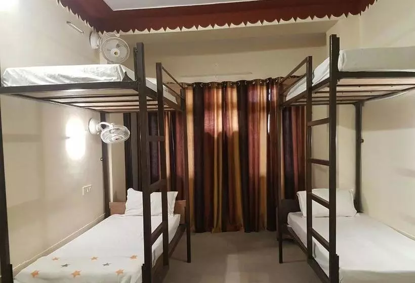 Wow Backpackers Hostels
