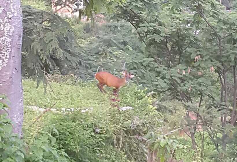 تختخواب و صبحانه Shivapuri Heights Cottage