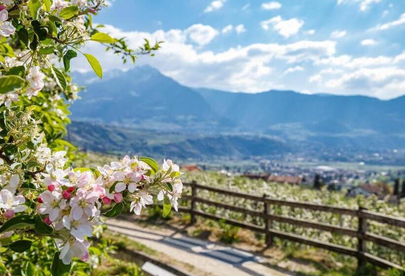 ホテル Fayn Garden Retreat