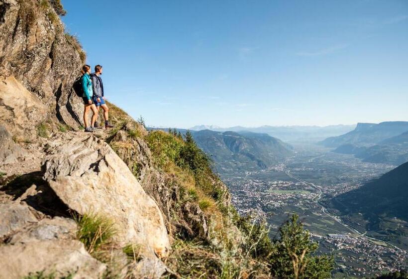 ホテル Fayn Garden Retreat