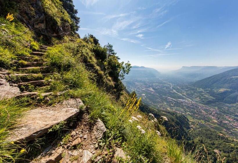 ホテル Fayn Garden Retreat