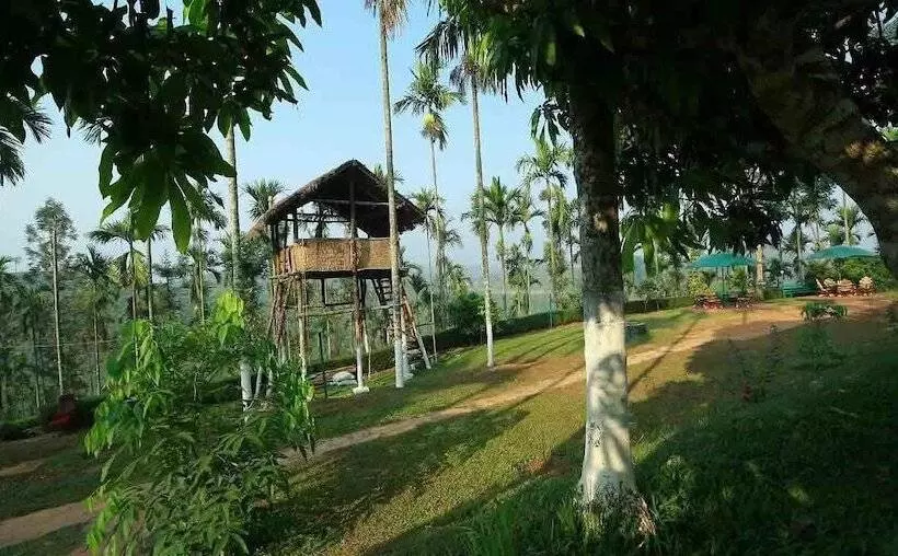 New Line Gods Land Resort