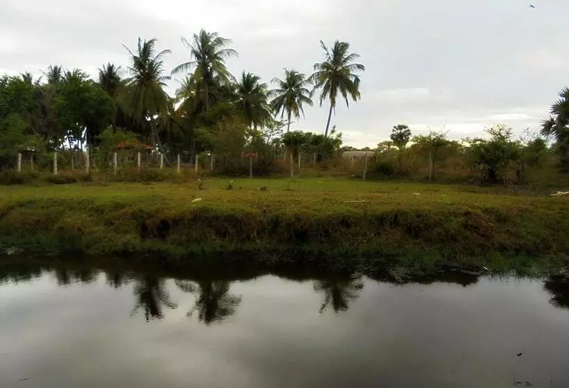تختخواب و صبحانه Grand Villa