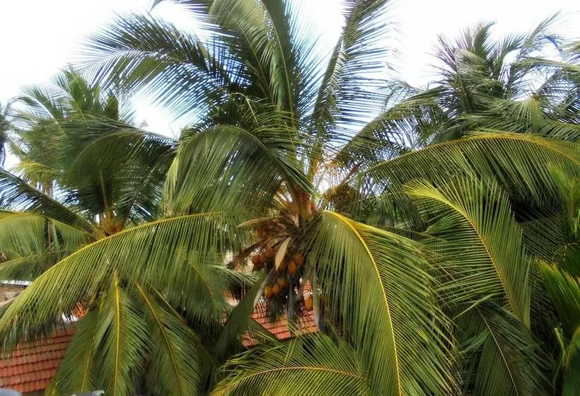 تختخواب و صبحانه Grand Villa