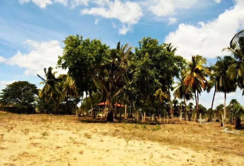 تختخواب و صبحانه Grand Villa