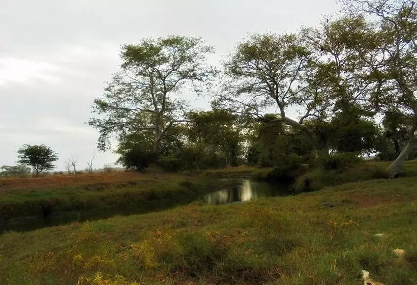تختخواب و صبحانه Grand Villa