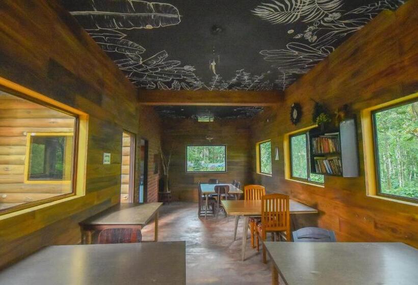 Bed and Breakfast Monsoon Retreats Ecostay  Treehouse