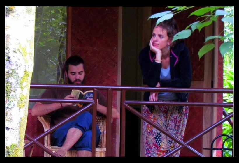 Bed and Breakfast Monsoon Retreats Ecostay  Treehouse