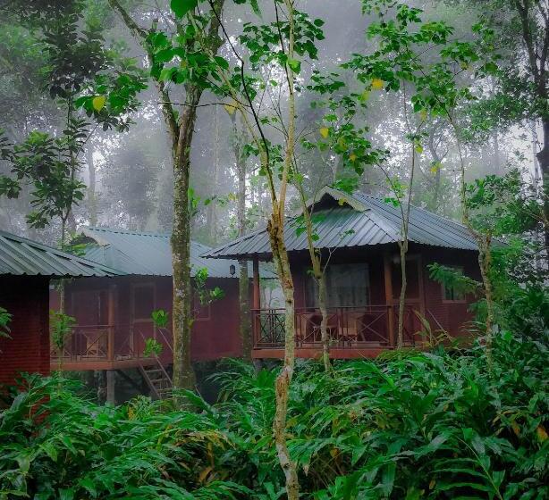 Bed and Breakfast Monsoon Retreats Ecostay  Treehouse