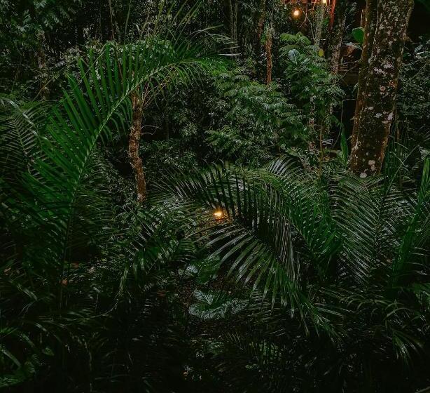 Bed and Breakfast Monsoon Retreats Ecostay  Treehouse