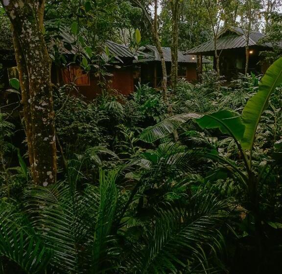 Bed and Breakfast Monsoon Retreats Ecostay  Treehouse