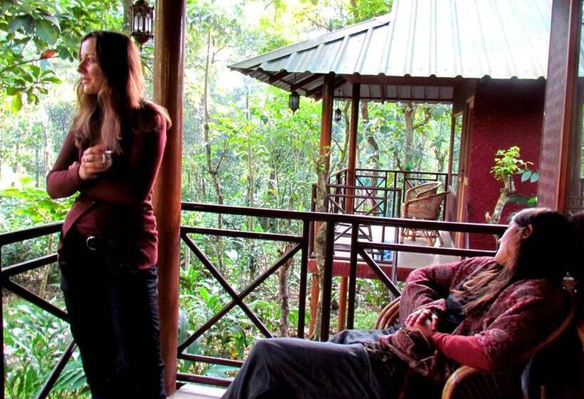 Bed and Breakfast Monsoon Retreats Ecostay  Treehouse