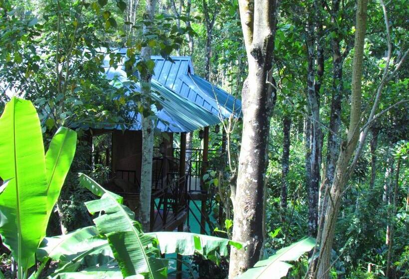 Bed and Breakfast Monsoon Retreats Ecostay  Treehouse