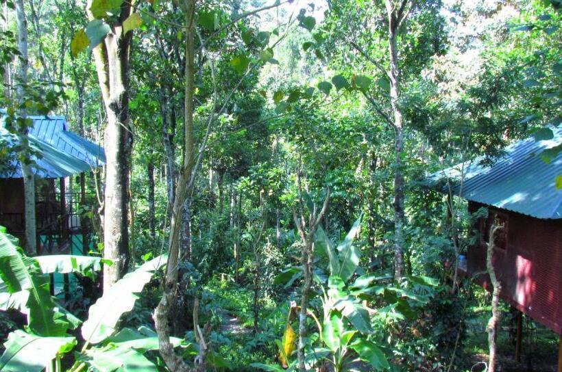 Bed and Breakfast Monsoon Retreats Ecostay  Treehouse