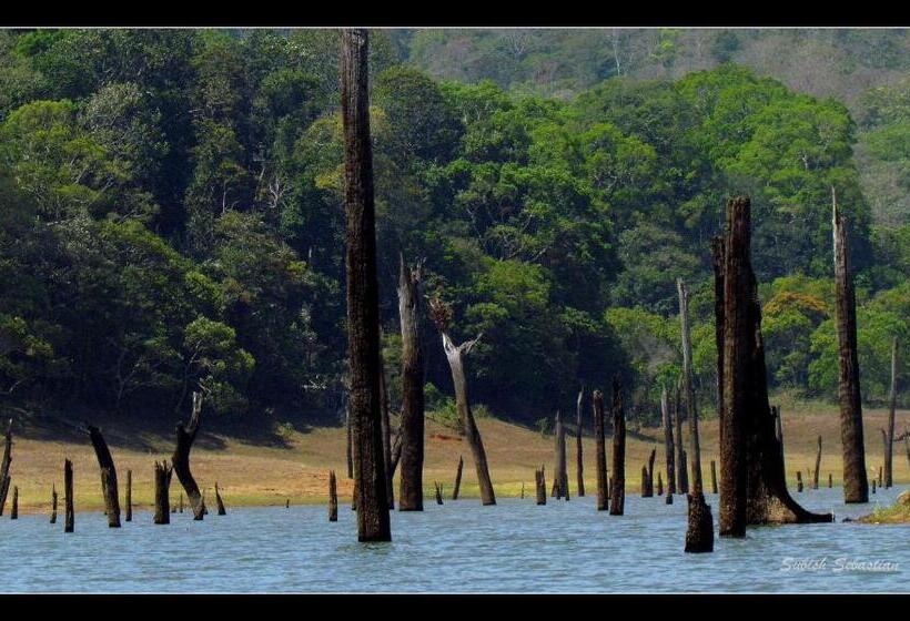 Bed and Breakfast Monsoon Retreats Ecostay  Treehouse