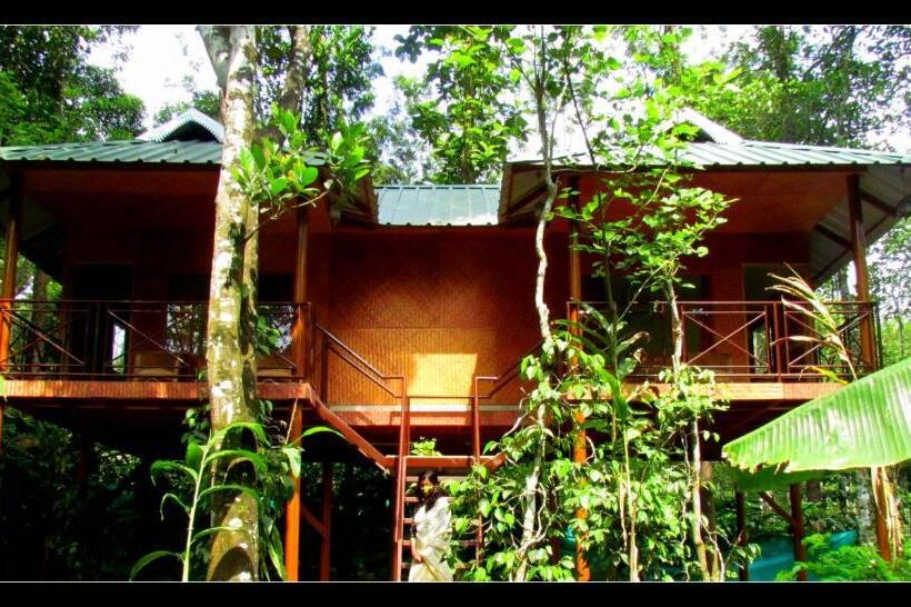 Bed and Breakfast Monsoon Retreats Ecostay  Treehouse