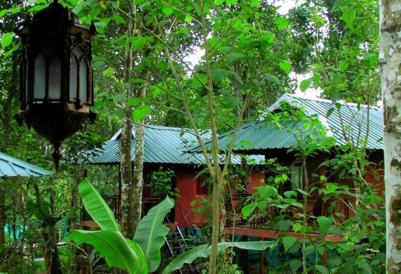 Bed and Breakfast Monsoon Retreats Ecostay  Treehouse