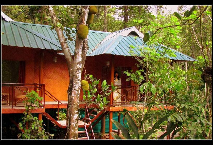 Bed and Breakfast Monsoon Retreats Ecostay  Treehouse