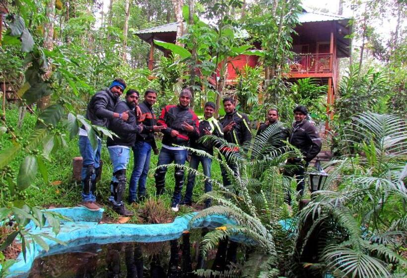 Bed and Breakfast Monsoon Retreats Ecostay  Treehouse