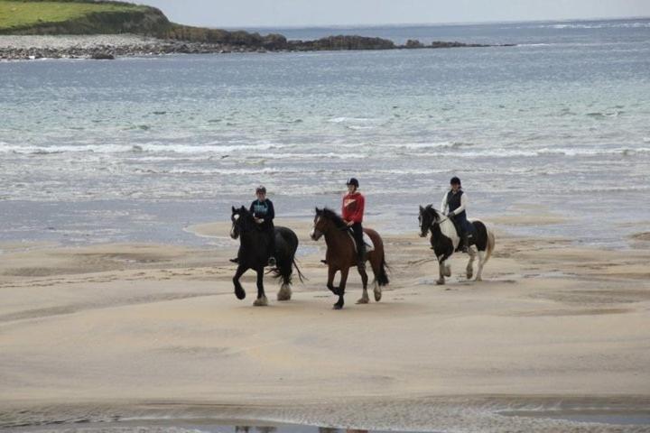 Bed and Breakfast Yeats Lodge