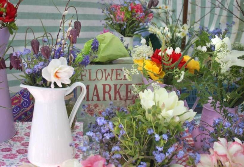 Bed and Breakfast Yeats Lodge