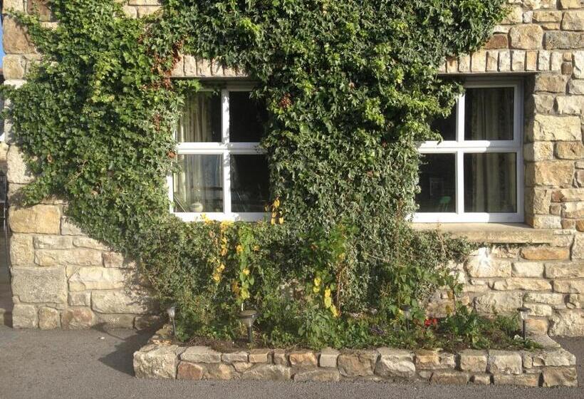 Bed and Breakfast Yeats Lodge