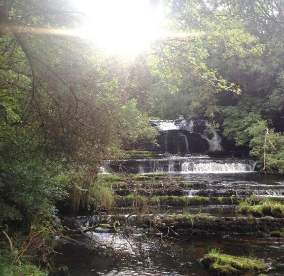 Bed and Breakfast Yeats Lodge