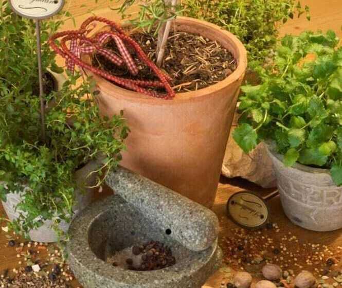 호텔 Allgäuer Kräuteralm