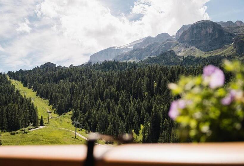 酒店 Laguscei Dolomites Mountain