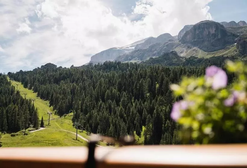 ホテル Laguscei Dolomites Mountain