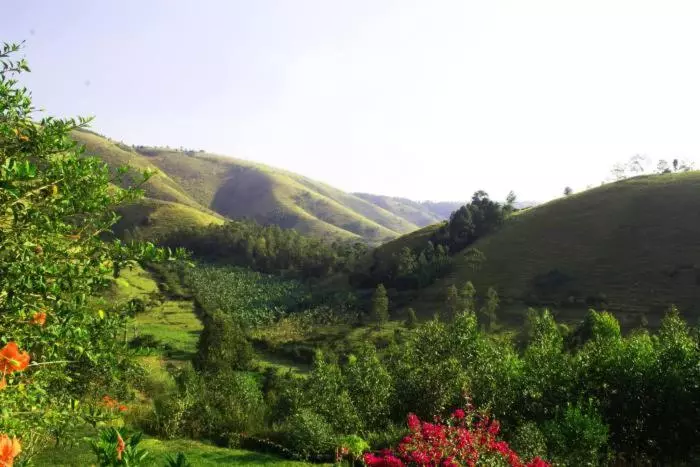 هتل Nyore Hillside Retreat